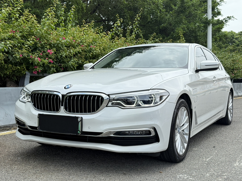 BMW 5-Series G38 из Китая — решётка и шильдик крупным планом