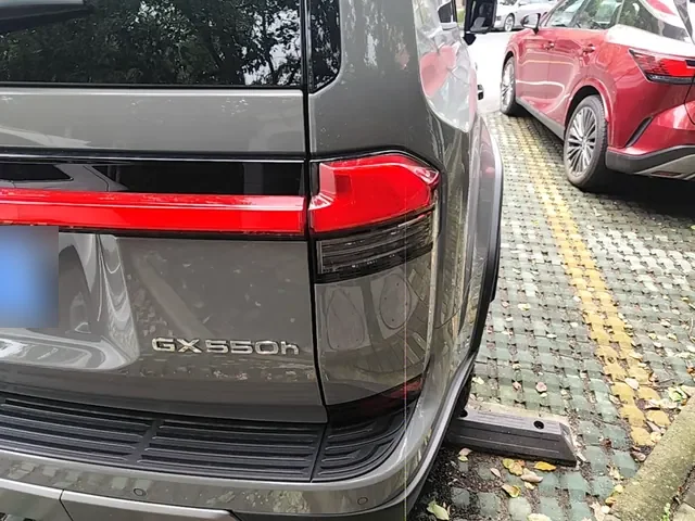 Лексус GX из Китая — сзади